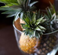 The Caf Coolum - Accommodation Resorts