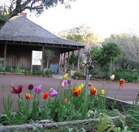 Stirling Cottage Kitchen - Accommodation Resorts