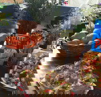 Island fruit Barn - Accommodation Resorts