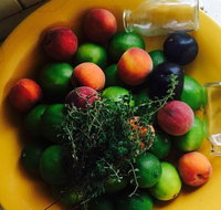 The Coffee Shoppe - Accommodation Resorts