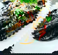 Advance Mussel Supply - Accommodation Resorts