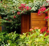 Pink Flamingo - Accommodation Resorts