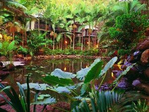 Daintree Eco Lodge & Spa - Accommodation Resorts 0