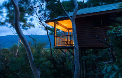 Thala Beach Nature Reserve - Accommodation Resorts 0