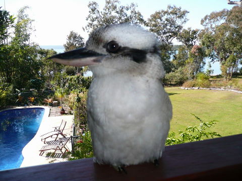 Yarrandabbi Dreaming Boutique B&B - Accommodation Resorts 2