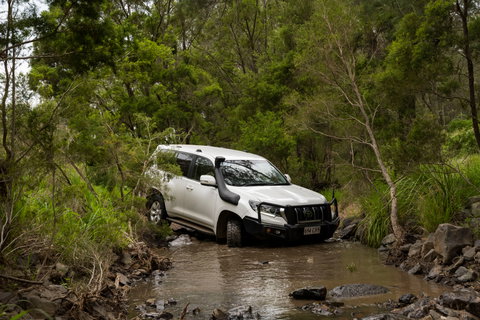 Spicers Hidden Vale - Accommodation Resorts 14