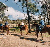 Country Club Tasmania - Accommodation Resorts