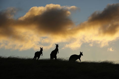 Sky House Kangaroo Island - Accommodation Resorts 37