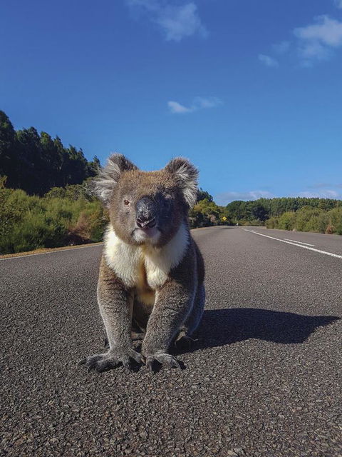 Kangaroo Island Seafront - Accommodation Resorts 14