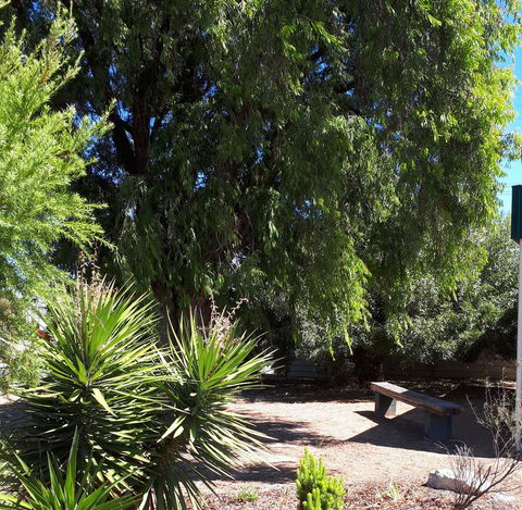 Bordertown Motel - Accommodation Resorts 4