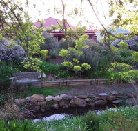 Frog Song at Willunga - Accommodation Resorts