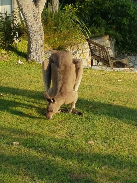 \'Point Break\' Your Waterfront Break At The Point - Accommodation Resorts 12