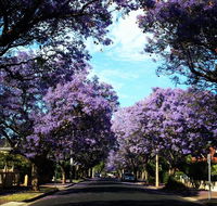 Monaco Court Apartment Adelaide - Accommodation Resorts