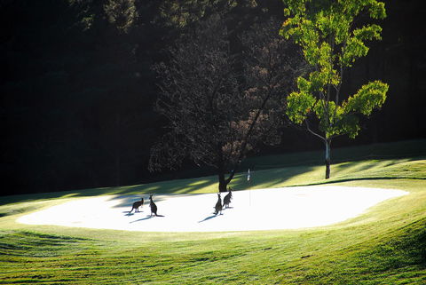 SkyView Villa - Accommodation Resorts 3