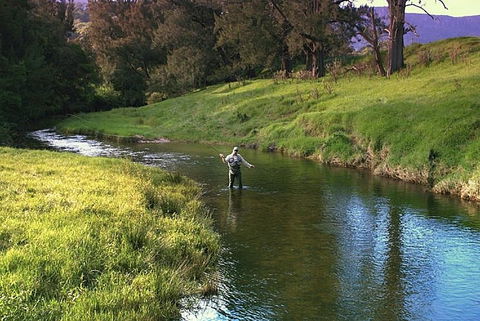 SkyView Villa - Accommodation Resorts 17