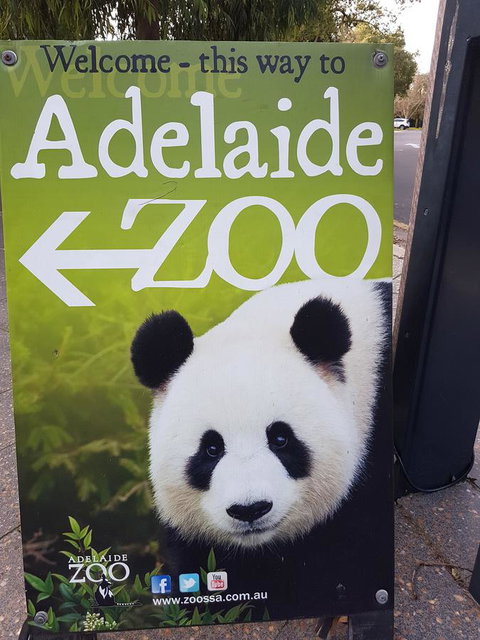 Adelaide Style Accommodation-Close To City-North Adelaide-3 Bdrm- FREE Parking - Accommodation Resorts 35