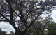Adelaide Style Accommodation-Close To City-North Adelaide-3 Bdrm- FREE Parking - thumb 34