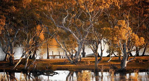 Riverview Rise Retreats - Accommodation Resorts 4