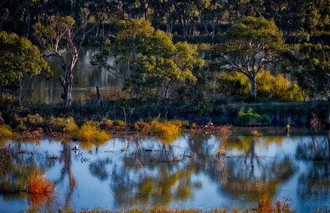 Riverview Rise Retreats - Accommodation Resorts 7