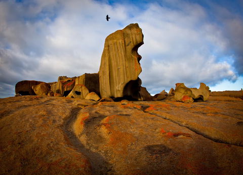 Penneshaw Oceanview Apartments - Accommodation Resorts 23