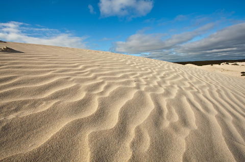 Penneshaw Oceanview Apartments - Accommodation Resorts 24