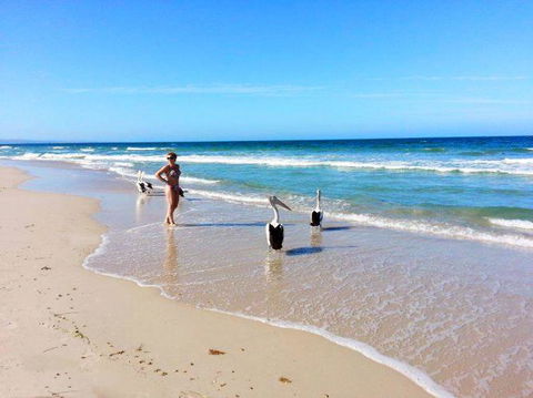 Atlantic West Beach Apartments - Accommodation Resorts 22