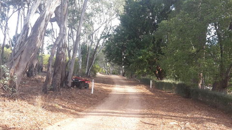 Taralee Orchards - Accommodation Resorts 4