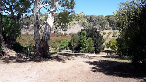 Taralee Orchards - Accommodation Resorts 3