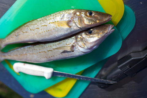 Modra\'s Apartments - Accommodation Resorts 17