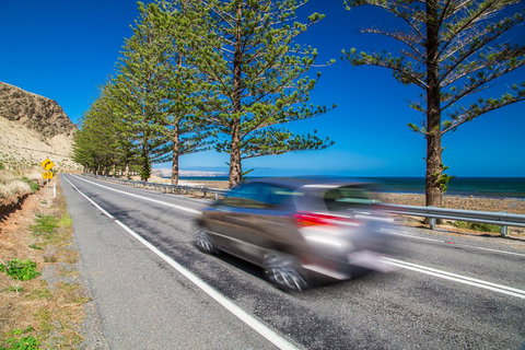 Lady Bay Hotel - Accommodation Resorts 26