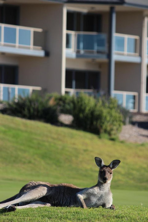 Lady Bay Hotel - Accommodation Resorts 16