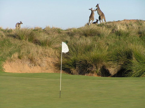 Lady Bay Hotel - Accommodation Resorts 17