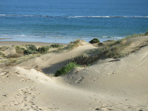 McCloud House - Accommodation Resorts 10