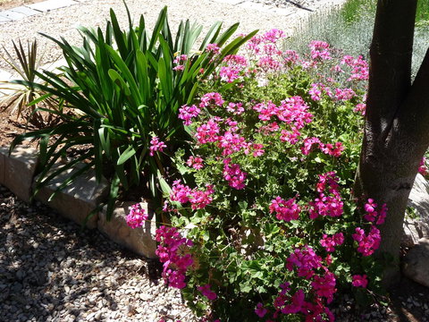 Country Bakehouse Accommodation - Accommodation Resorts 18