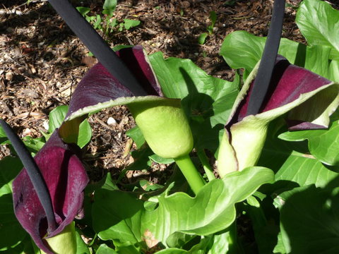 Country Bakehouse Accommodation - Accommodation Resorts 19