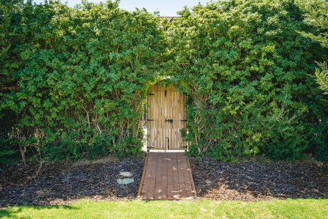 Mick O\'Sheas - Accommodation Resorts 32
