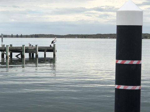 Goolwa Marinerâ€™s Cottage - Free Wifi And Pet Friendly - Centrally Located In Historic Region - Accommodation Resorts 31