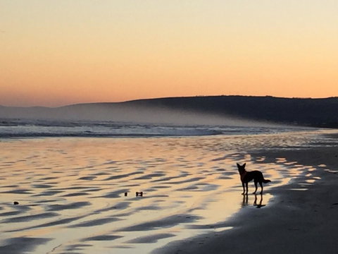 Goolwa Marinerâ€™s Cottage - Free Wifi And Pet Friendly - Centrally Located In Historic Region - Accommodation Resorts 35