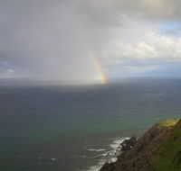 Byron Bay Guest - Accommodation Resorts