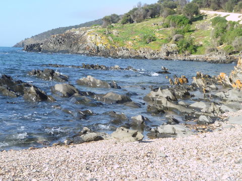 Ashendens At Penneshaw - Accommodation Resorts 2