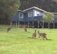 Blue House Denmark - Accommodation Resorts