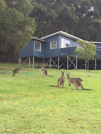 Book Denmark Accommodation Vacations Accommodation Resorts Accommodation Resorts
