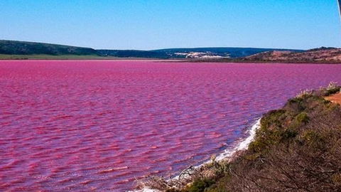 Kanga Cottage - Accommodation Resorts 38