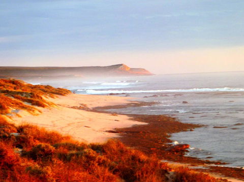 Kanga Cottage - Accommodation Resorts 26