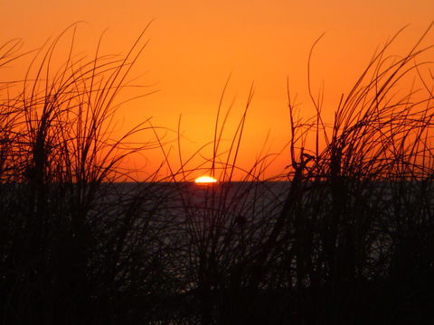 Kanga Cottage - Accommodation Resorts 27