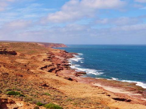 Kanga Cottage - Accommodation Resorts 32