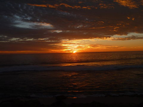 Kanga Cottage - Accommodation Resorts 41