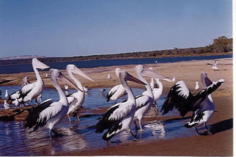 Unit 42 Kalbarri Beach Resort - Accommodation Resorts 17