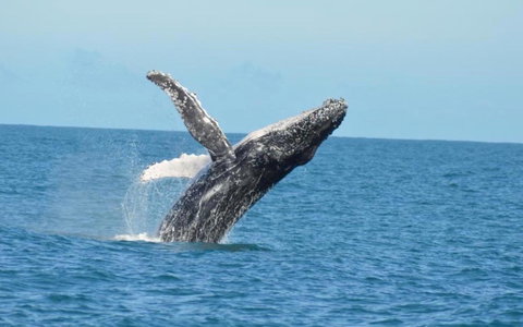 Unit 42 Kalbarri Beach Resort - Accommodation Resorts 20