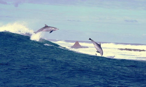 Unit 42 Kalbarri Beach Resort - Accommodation Resorts 22